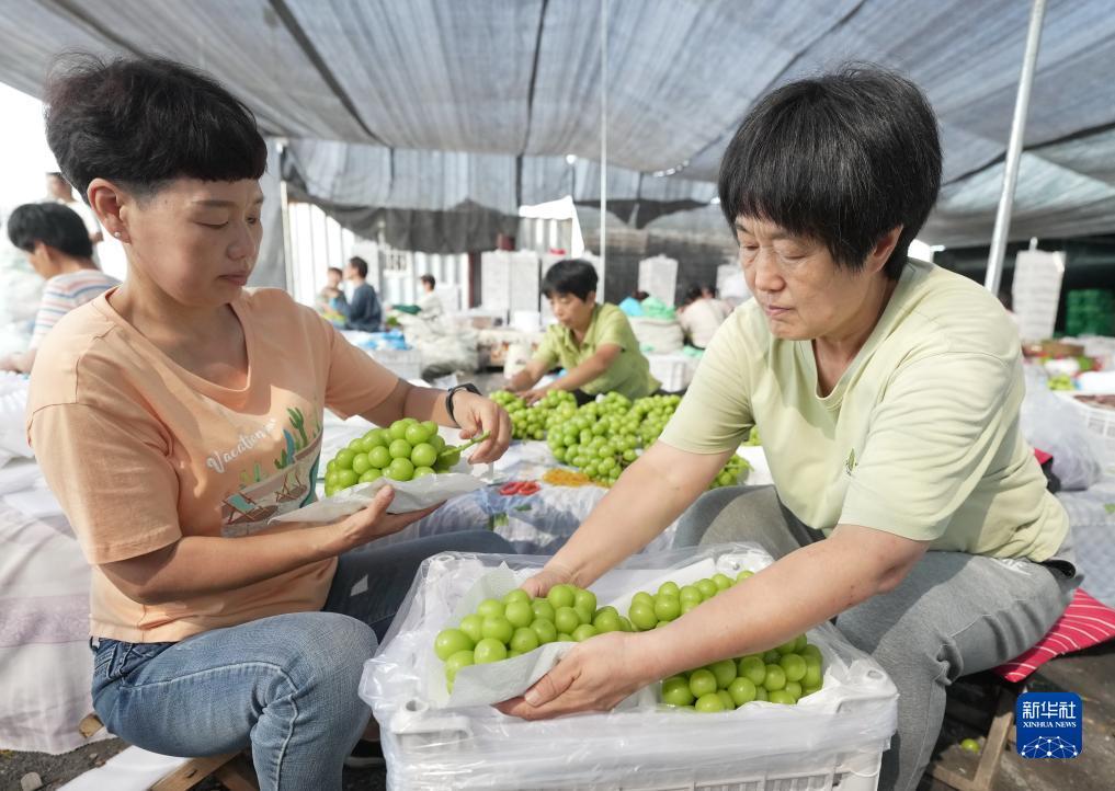 李逵捕鱼游戏下载大全